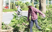 Bắc Bộ, Bắc Trung Bộ nắng nóng kéo dài đến 5-9, chỉ số tia UV ở mức có hại