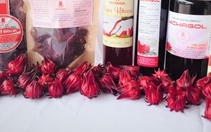 Khởi nghiệp từ sắc hoa atisô đỏ