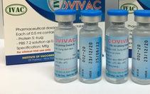 Sáng nay 5-3 bắt đầu tuyển tình nguyện viên thử vắc xin COVIVAC