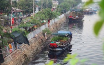 Làm đẹp không gian chợ hoa xuân Bến Bình Đông