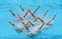 Giải đấu loại Olympic của môn bơi nghệ thuật phải tạm hoãn vì COVID-19