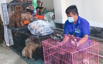 Chủ F0 đi cách ly, đàn chó 12 con được chăm sóc, tắm rửa: 'Để nó chết sao được'