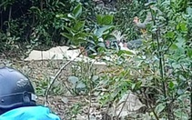 Người phụ nữ buôn gà bị sát hại, giấu xác ở trên núi