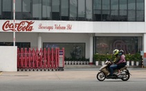 Tin vào sự phục hồi kinh tế Việt Nam