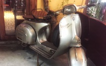 Cuộc đoàn tụ khó tin với chiếc Vespa cổ của ba tôi