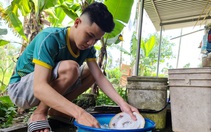 Đứa con thông minh của một người điên