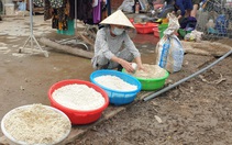 Giúp đồng bào gượng dậy sau lũ