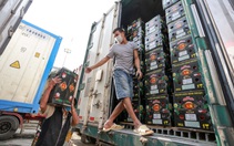 Trung Quốc dừng nhập thanh long, các tỉnh rơi vào tình thế 'nước sôi lửa bỏng'