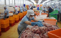 Tháng đầu năm Việt Nam xuất khẩu hơn 28 tỉ USD, tăng 55% so cùng kỳ