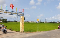 Rủ nhau... bán ruộng
