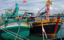 Yêu cầu Indonesia trao trả ngư dân và tàu cá bị bắt trong hải phận Việt Nam