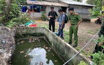 Chủ nhà ở Phú Quốc giao nộp 58 con rùa từ rừng bò vào nhà