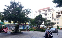 Tranh thủ nghỉ lễ 'khám bệnh' cây xanh
