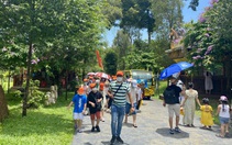 Du khách vội vàng hủy tour, các công ty du lịch họp nóng