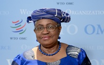 Tổng giám đốc WTO: Đã có tiến triển về bỏ bản quyền vắc xin COVID-19