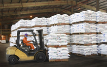 Giá thế giới tăng nóng, phân bón trong nước vẫn tăng thấp hơn hàng nhập khẩu