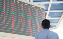 Cổ phiếu của nhiều công ty chứng khoán tăng trần lúc thị trường lao dốc