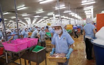 VASEP kiến nghị lên Thủ tướng giải pháp 'sống chung lâu dài' với COVID-19