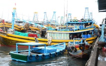 Tàu cá từ đảo Phú Quý đã được phép cập cảng Phan Thiết bốc dỡ hàng hóa