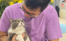 Bộ Y tế: 'COVID-19 có thể lây sang vật nuôi'