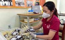 Thứ trưởng Bộ Y tế: TP.HCM cần xây dựng 'ngân hàng máu sống' tại tuyến huyện