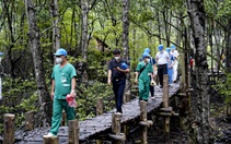Saigontourist Group tiếp tục tài trợ 8 tour tri ân y bác sĩ tuyến đầu