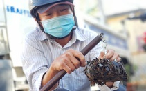 Đầu năm quét đinh rải dọc quốc lộ 1 khu Bình Chánh