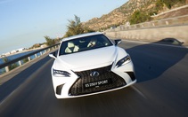 Lexus ra mắt 3 mẫu xe F Sport tại Việt Nam: Giá từ 2,56 tỉ đồng, cạnh tranh BMW M và Mercedes-AMG