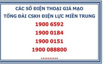 Lập 4 đầu số giả tổng đài ngành điện để lừa thu phí với giá 'cắt cổ'