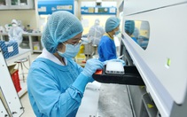 Đa số những người tiếp xúc ca nhập cảnh TP.HCM nhiễm Omicron đều bị lây bệnh