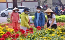 Bộ Y tế có hướng dẫn mới về cấp độ dịch, gần như cả nước thành vùng xanh