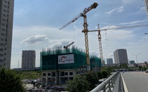 Thủ tướng Chính phủ lập tổ công tác xử lý các dự án, đất đai sau thanh tra