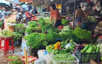 Không lo tăng giá, thiếu hụt hàng dịp Tết Quý Mão