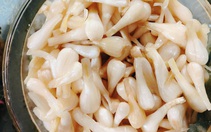 Hũ kiệu của cả nhà