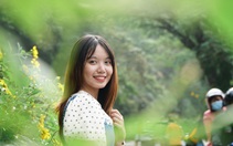 Rủ nhau lên núi ngắm hoa dã quỳ nở rộ, rời xa khói bụi về miền an yên
