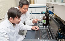 Nhà khoa học Việt tìm ra chất ức chế tế bào ung thư máu từ vỏ trấu