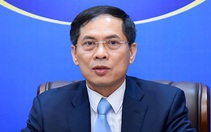 Đề nghị kỷ luật Bộ trưởng Ngoại giao liên quan vụ chuyến bay giải cứu