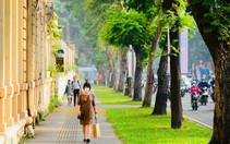 Thời tiết hôm nay 1-1: Ngày đầu năm mới dương lịch, thời tiết cả nước thuận lợi
