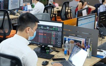 'Vợt' cổ phiếu giảm giá khi chứng khoán lao dốc