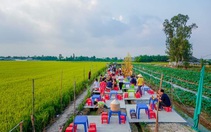 Quán chay giữa ruộng ở Cần Thơ thu hút giới trẻ dịp Tết