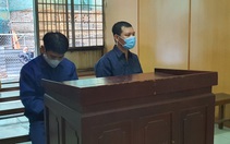 TP.HCM: Phạt 4 năm tù người giúp nhóm khách Trung Quốc lưu trú trái phép