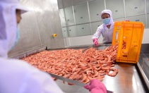 Trung Quốc đưa ra quy định mới về kiểm soát COVID-19 đối với thực phẩm lạnh nhập khẩu