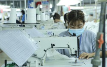 Khẩn trương chỉnh thang, bảng lương cho công nhân theo lương tối thiểu mới