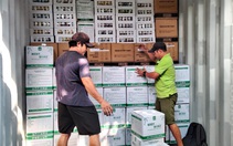 Hàng Việt sao vẫn khó vào châu Âu?