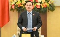 Dừng dự án điện hạt nhân Ninh Thuận: Chủ trương, quyết sách đúng đắn của trung ương