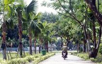 TP.HCM xây dựng tối thiểu 10ha công viên công cộng trong năm 2022
