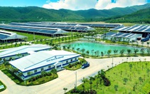Vinamilk đẩy mạnh xây dựng mô hình phát triển bền vững trong ngành sữa