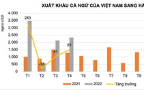 Cá ngừ Việt Nam được tiêu thụ mạnh ở Hà Lan, giá trị tăng gần gấp đôi năm trước