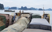 Rà soát, xử lý nghiêm tàu thủy chạy ‘chui’ trên biển Quảng Ninh