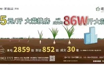 Ế ẩm, một nhà buôn bất động sản ở Trung Quốc cho trả tiền mua nhà bằng... tỏi, lúa mì